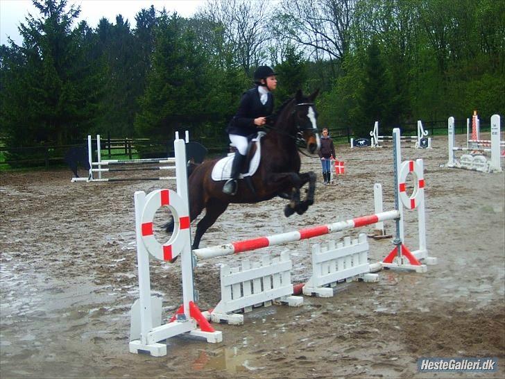 Anden særlig race Filini - Foto: Frederikke Larsen billede 11