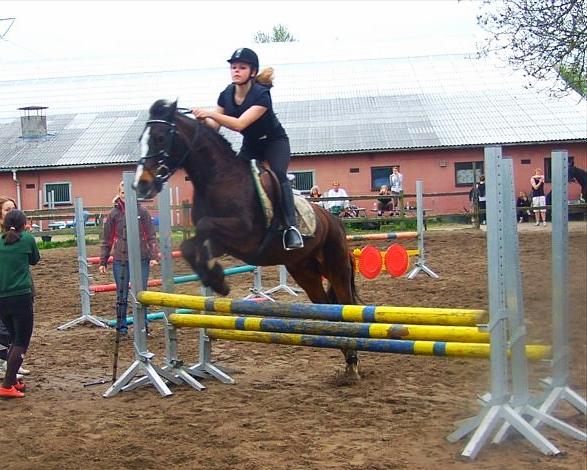 Anden særlig race Filini - Foto: ? øhh fisk billede 12