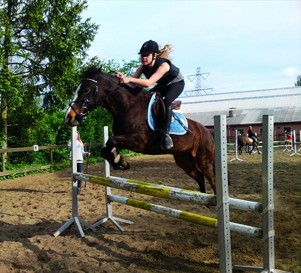 Anden særlig race Filini - Foto: Simone Sigersted billede 13