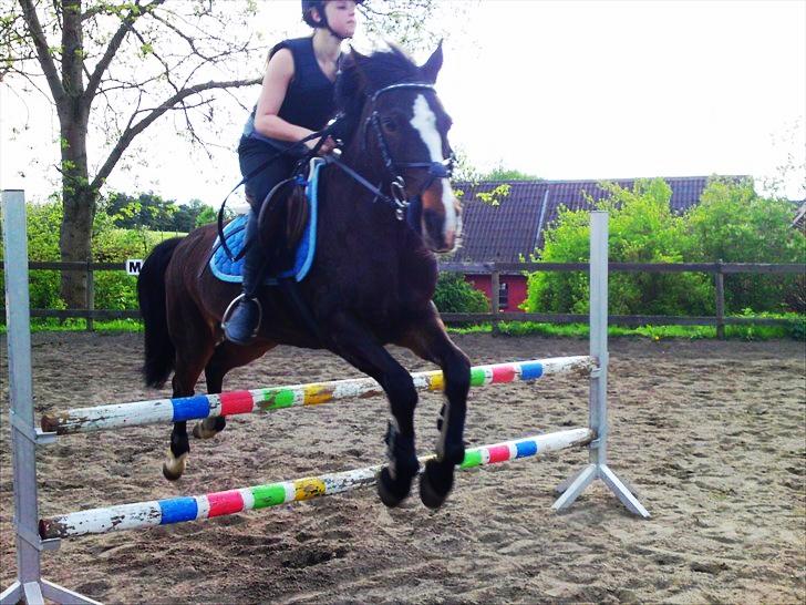 Anden særlig race Filini billede 16