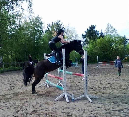 Anden særlig race Filini billede 17