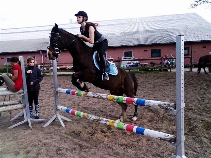 Anden særlig race Filini billede 18