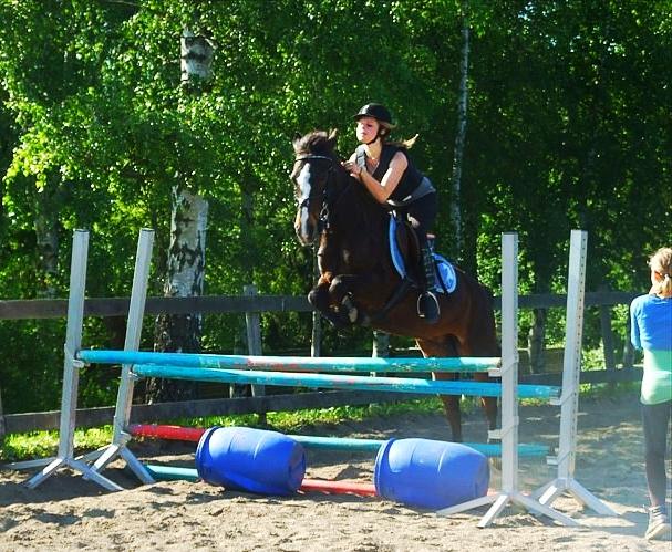 Anden særlig race Filini billede 19
