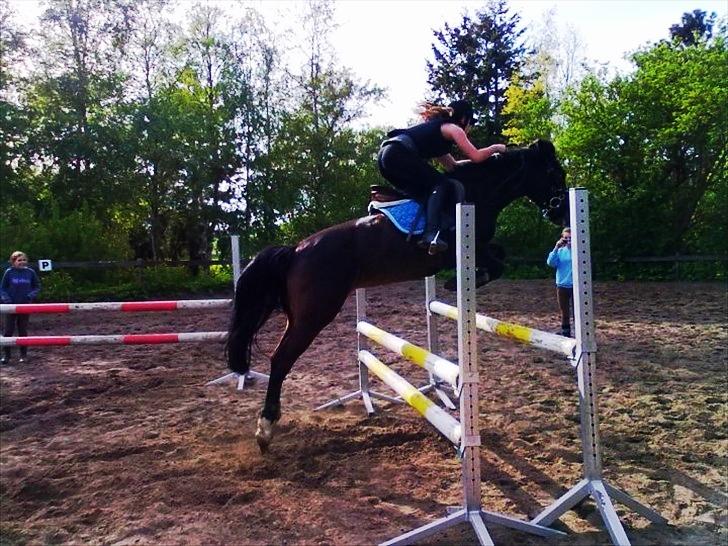 Anden særlig race Filini billede 20