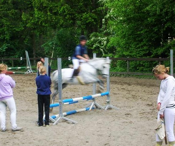 Welsh Mountain (sec A) Gwens gracie - stævne på langstrup <33 2 plads <33.. som kan ses på næste billed <33 billede 14