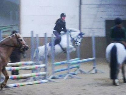 Welsh Mountain (sec A) Gwens gracie - Spring 23-02-2011! Elsker diiq pony | Foto: Melissa Kamper billede 18