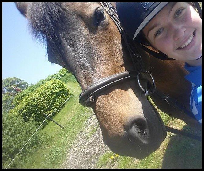 Anden særlig race Rosita billede 7