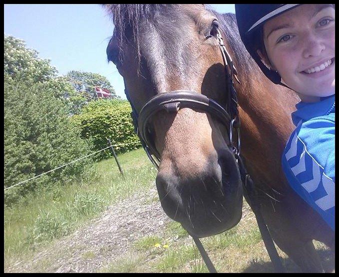 Anden særlig race Rosita billede 10