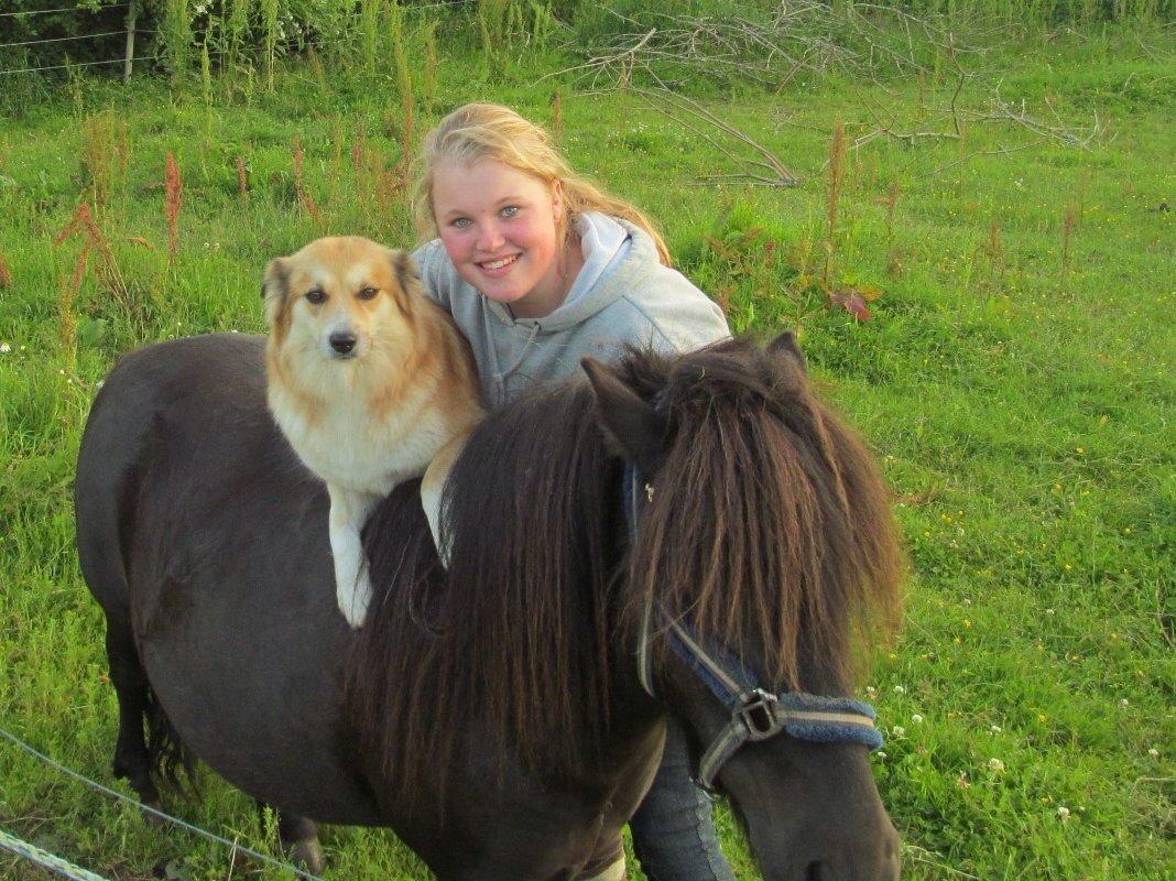 Anden særlig race Sofus billede 1