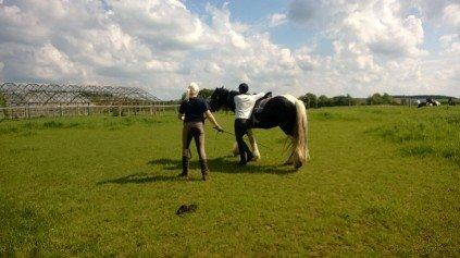 Tinker Mckale *SOLGT* - Marianne er torvholder, og Allan tager faldene. billede 17