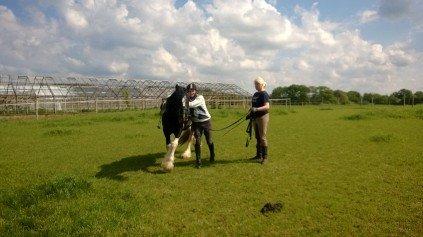 Tinker Mckale *SOLGT* - Næsten overbevist ham om at Allan skal ende på ryggen af ham. billede 18