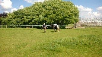 Tinker Mckale *SOLGT* - Så er vægten på. billede 19