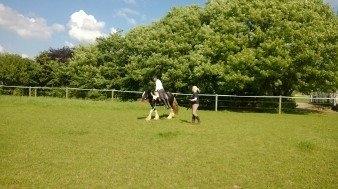 Tinker Mckale *SOLGT* - Og så lidt vægt igen. billede 21