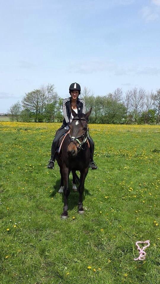 Traver Kvickly xtra billede 8