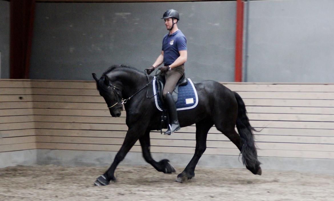 Frieser Max, STER - Max rides af Dennis Holst billede 4