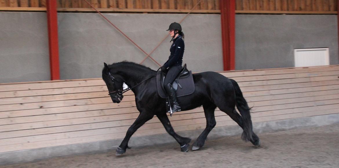 Frieser Max, STER billede 1