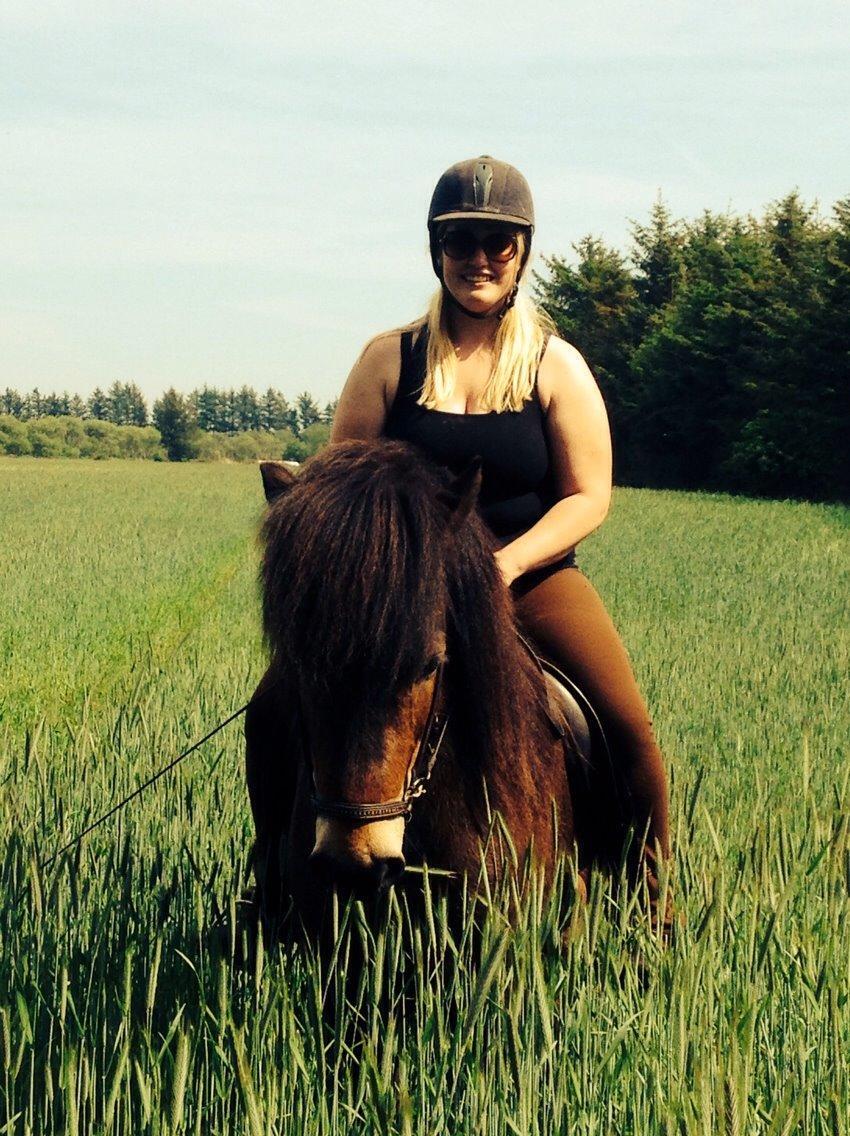 Islænder Fannar fra Gunderup billede 18