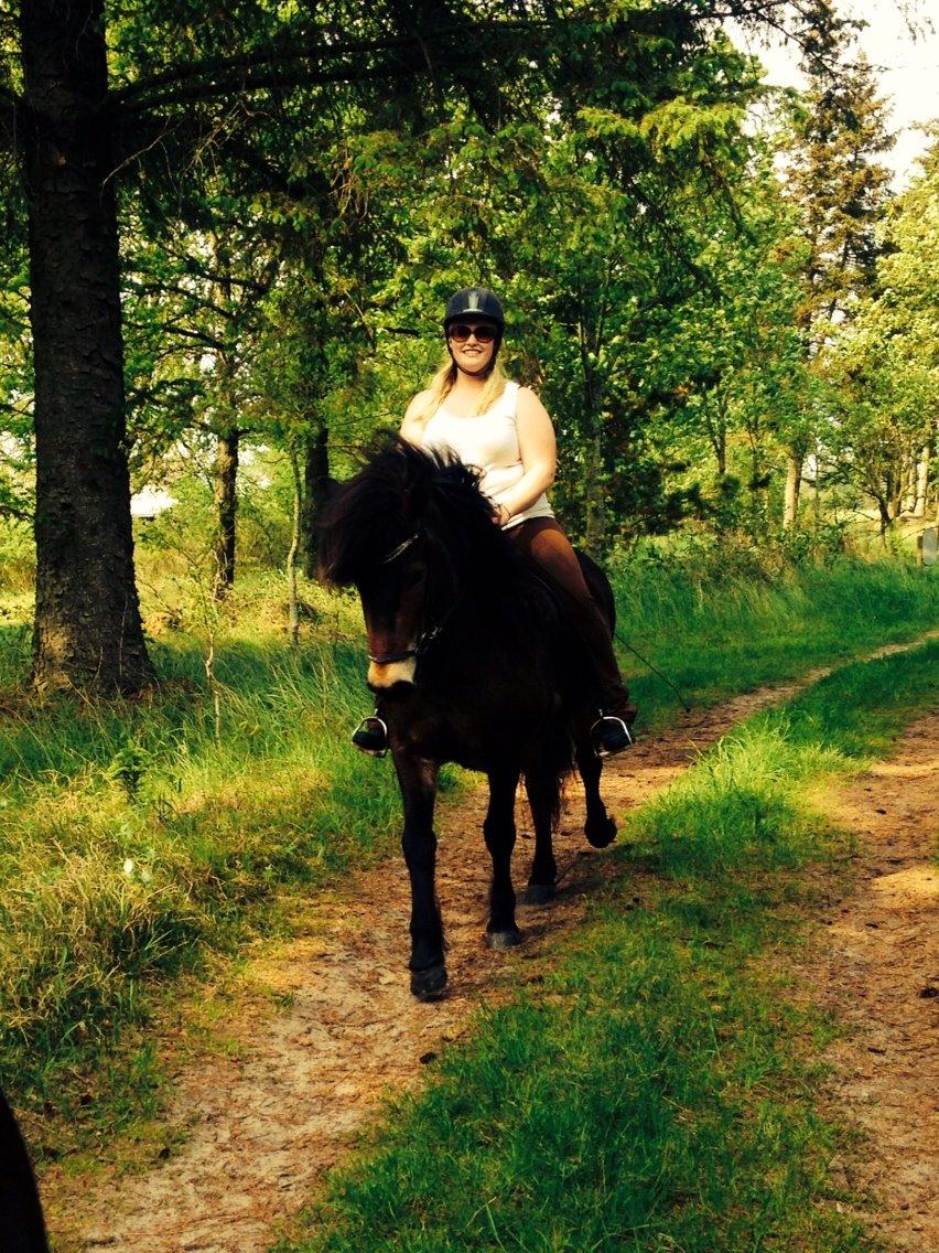 Islænder Fannar fra Gunderup billede 19