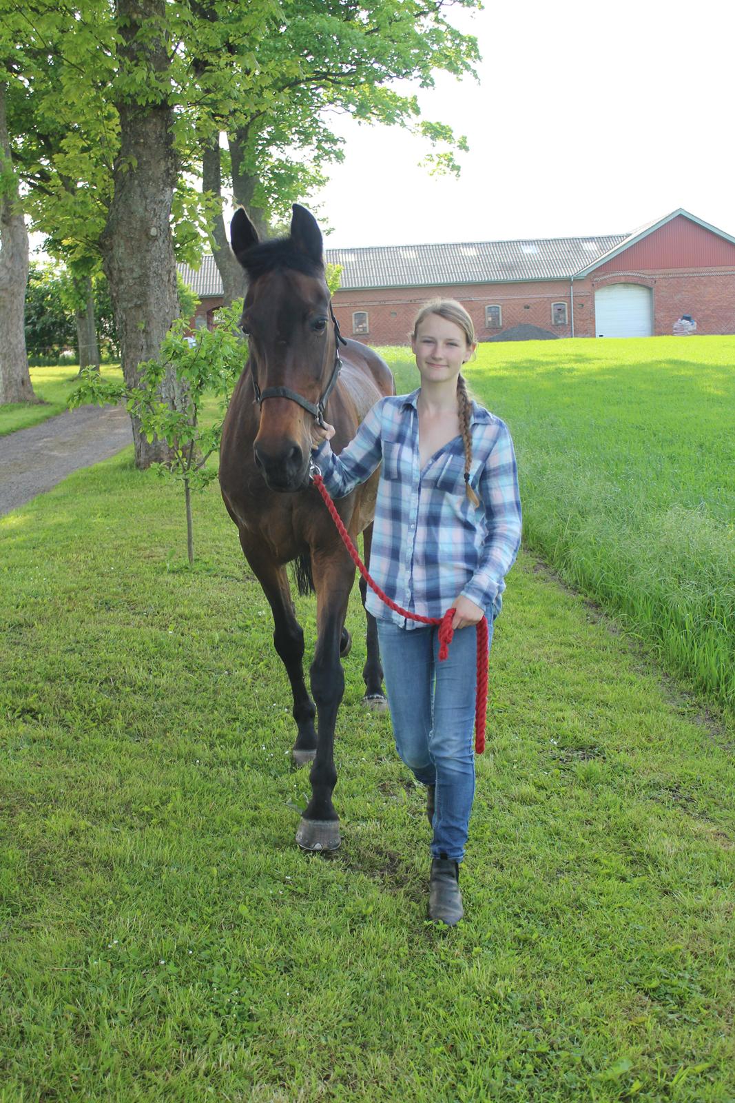 Dansk Varmblod Sabine Esperanza - Det nu meget hyggeligt at gå samme takt som tøsen!<3 billede 8