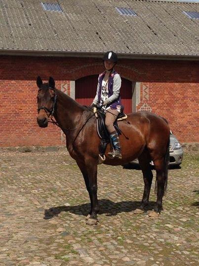 Dansk Varmblod Sabine Esperanza - Prinsessen billede 10