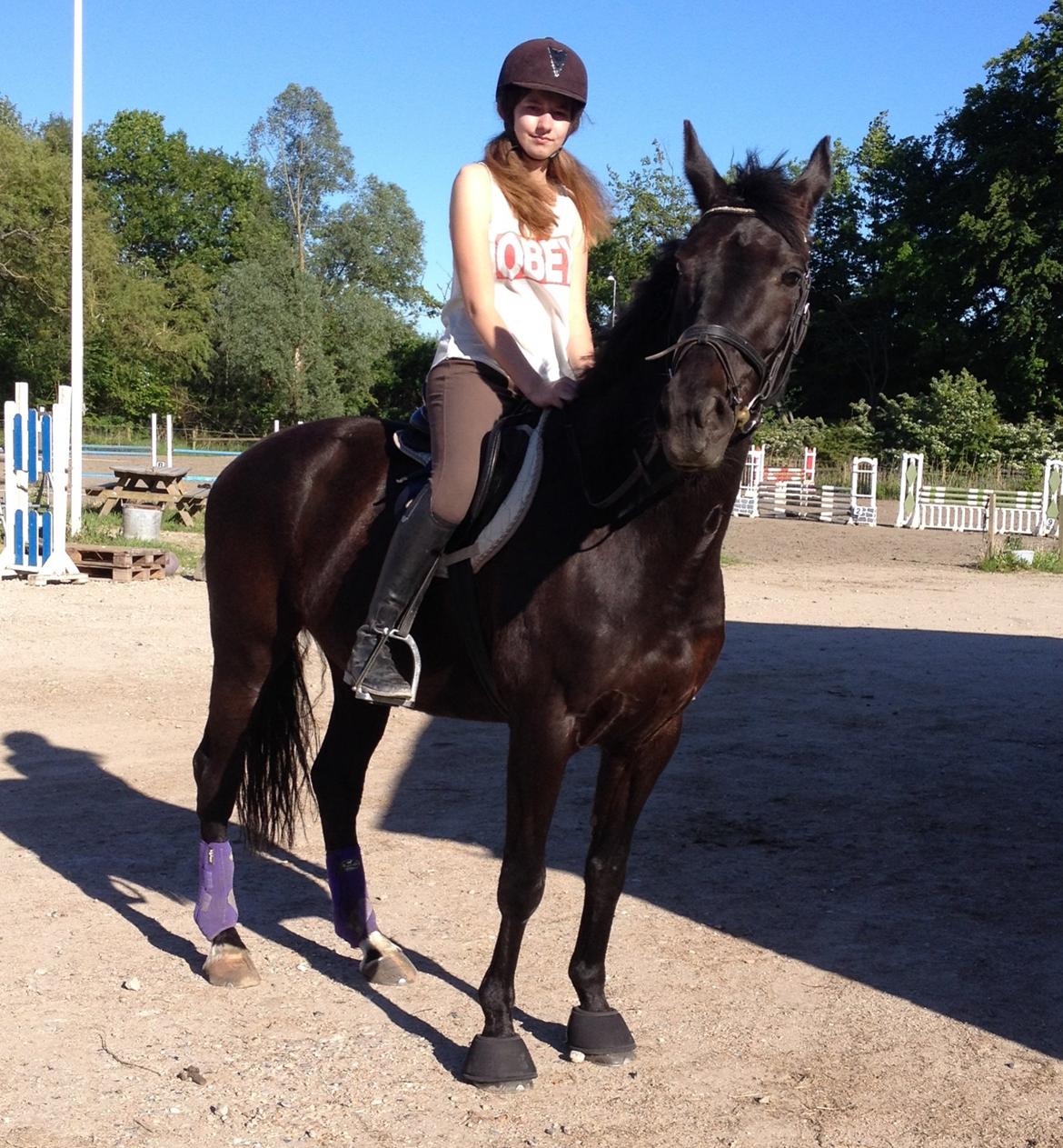 Anden særlig race Willow - Efter en skovtur på Willow. billede 3