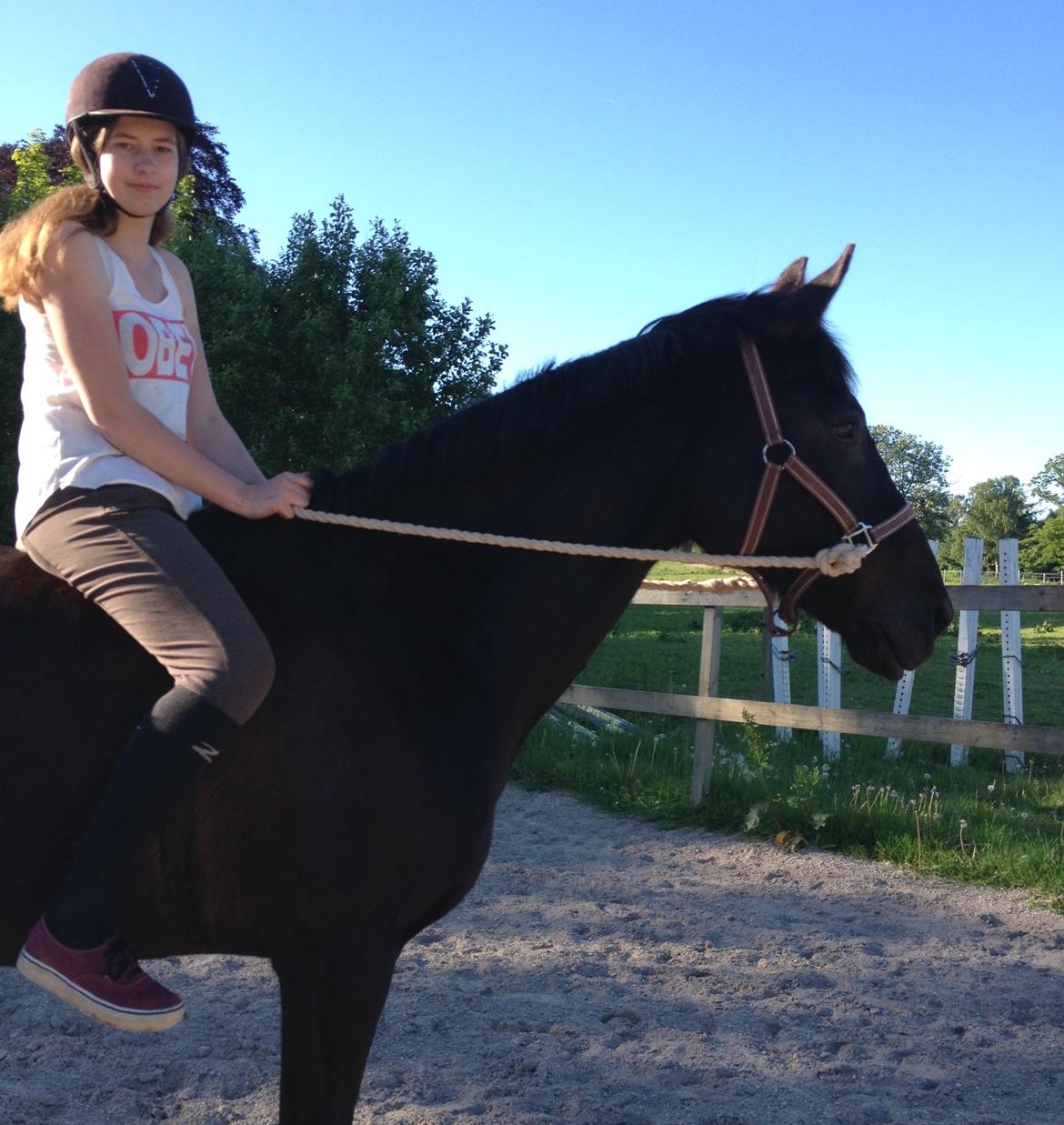 Anden særlig race Willow - Det er svært at sige farvel, så jeg håber at jeg kan nøjes med at sige på gensyn.. billede 19