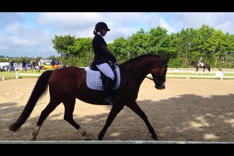 Dansk Varmblod Lady Dancer - Stævne i Sdr. Hygum  billede 11
