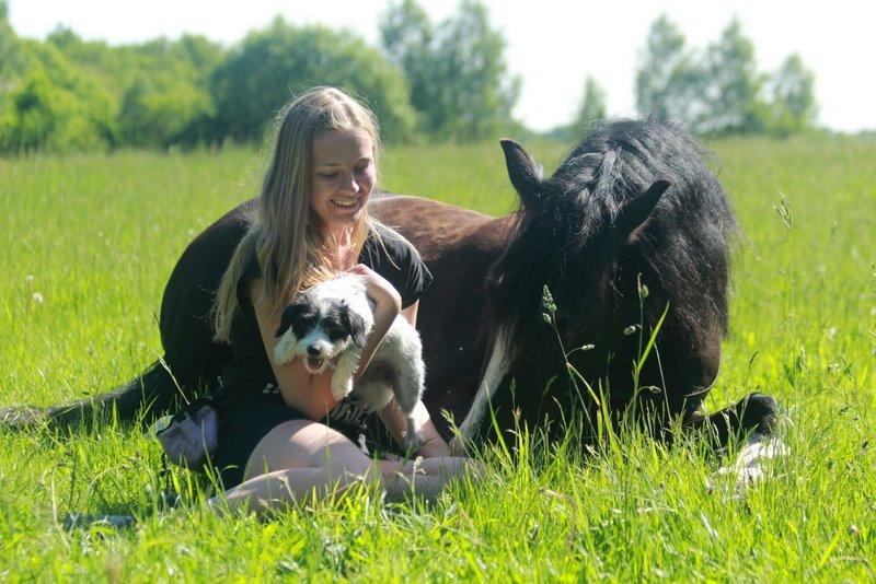 Welsh Cob (sec D) Fronerthig Black Rebel - Liva og Rebel er de kæreste! D. 27/5 billede 11