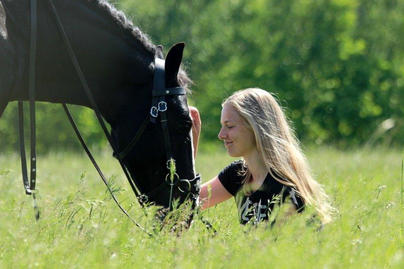 Welsh Cob (sec D) Fronerthig Black Rebel - My best friend! D. 27/5 billede 3