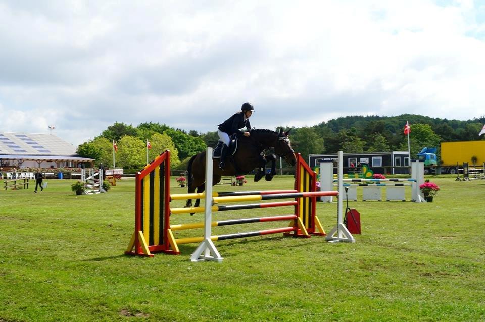 Dansk Varmblod Duelunds Lousenza (Baby) - LB2**(110cm) Kallehavegaard - 24/5-2014 billede 18