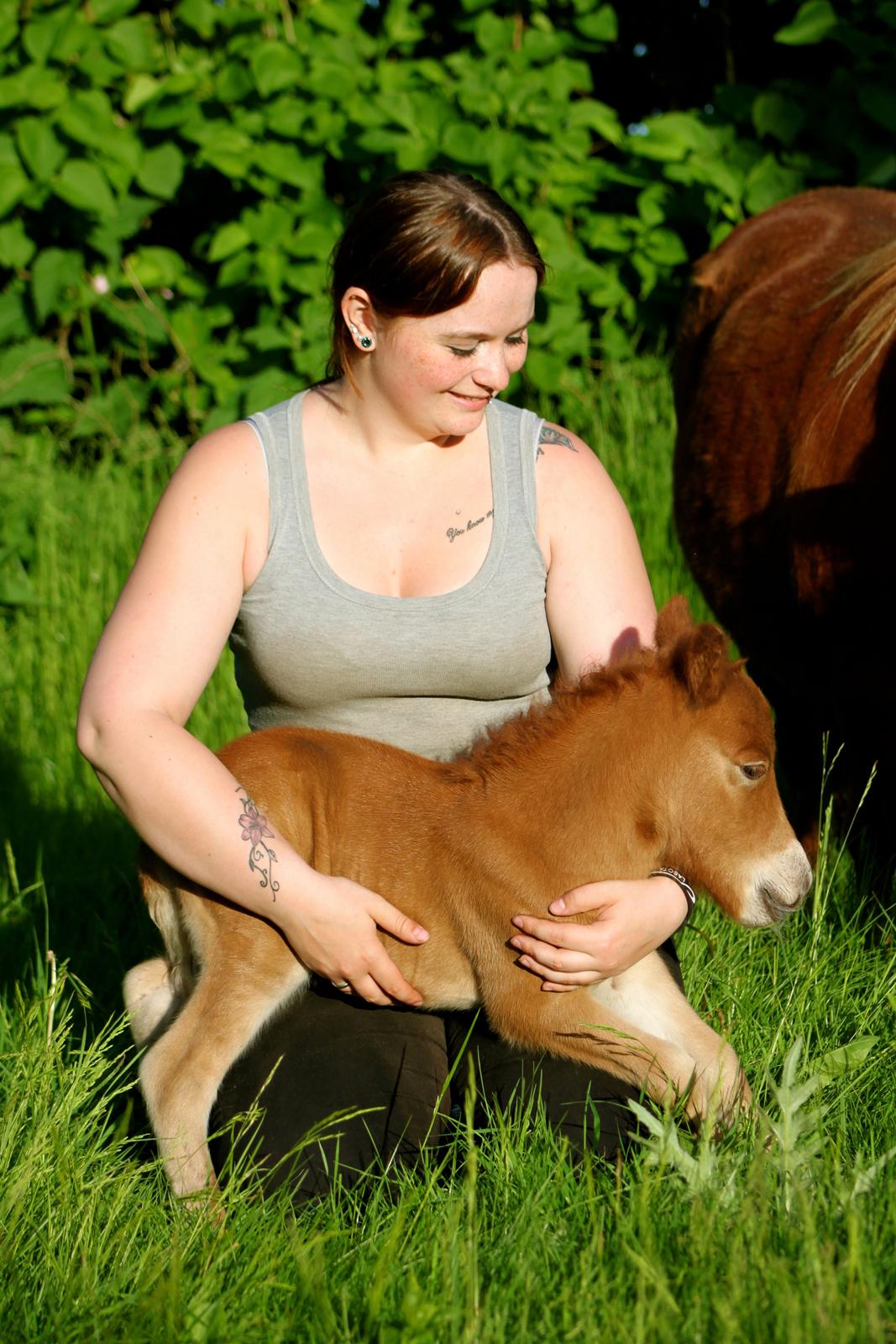 Shetlænder My Best Choice Constantino - 1 dag gammel. Jeg møder ham for første gang <3 billede 32