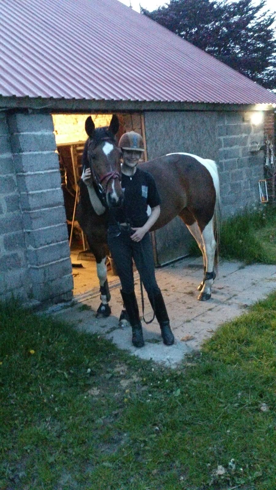 Pinto My Gucci - SOLGT billede 8