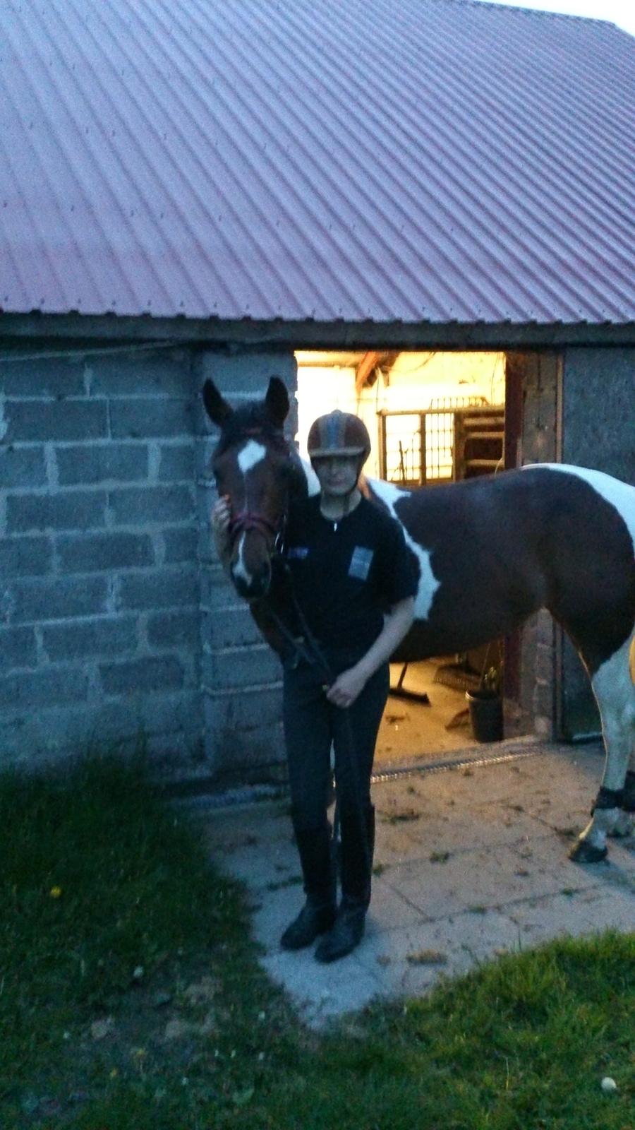 Pinto My Gucci - SOLGT billede 9