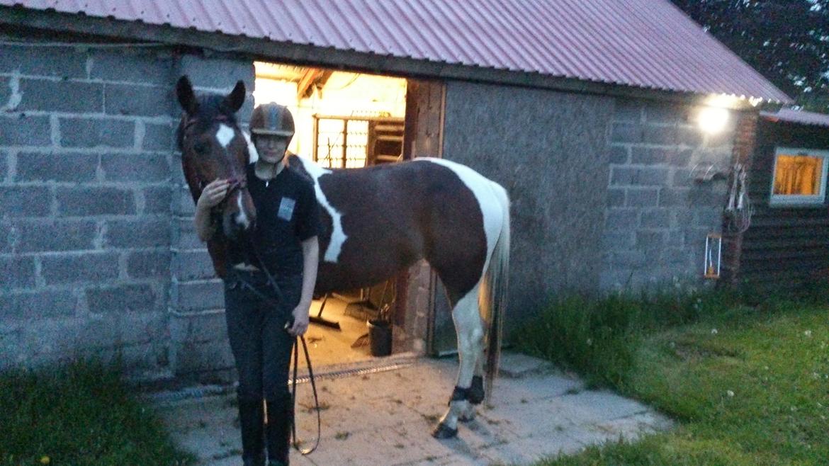 Pinto My Gucci - SOLGT billede 10