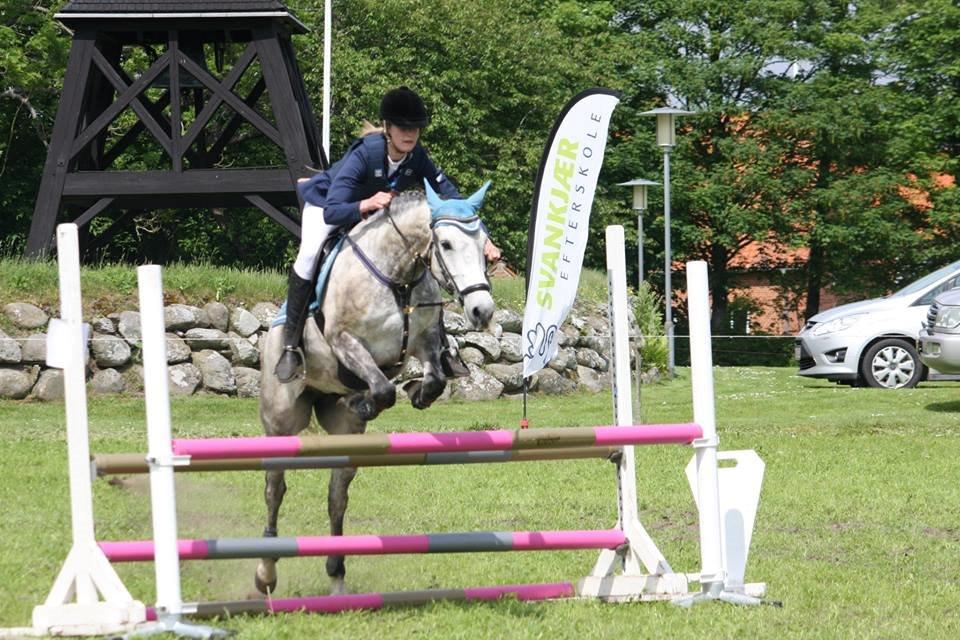 New Forest Marrondales Country Love - taget af katrine bukholt billede 8