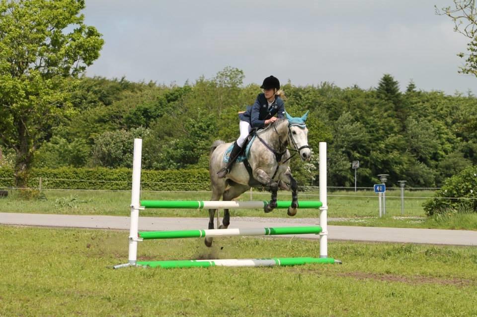 New Forest Marrondales Country Love - taget af marlene sønderhaven billede 20