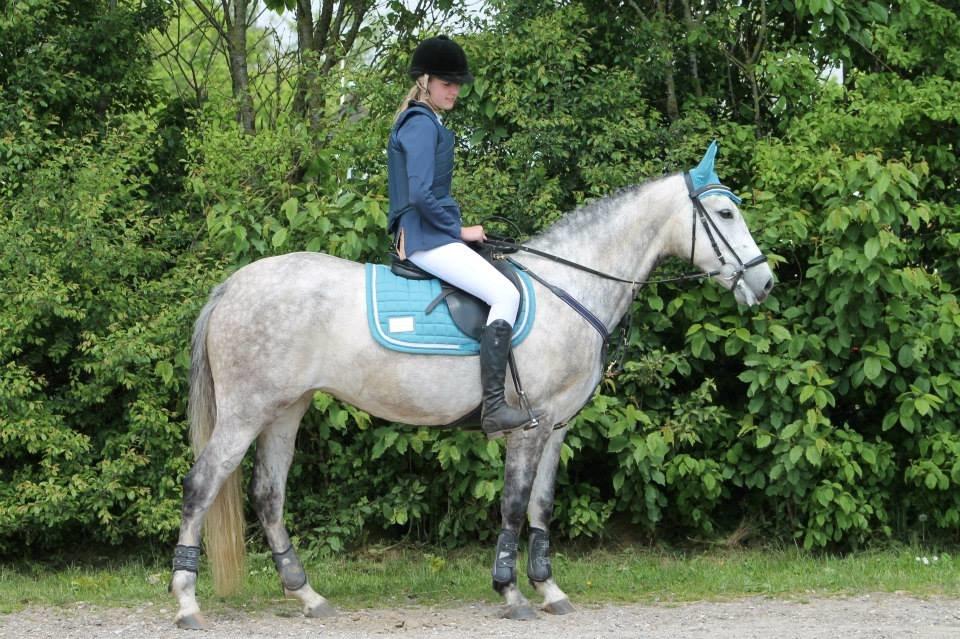 New Forest Marrondales Country Love - taget af marlene sønderhaven billede 14