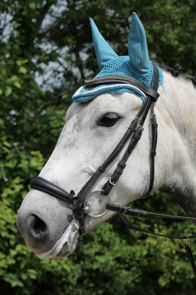 New Forest Marrondales Country Love - taget af marlene sønderhaven billede 10