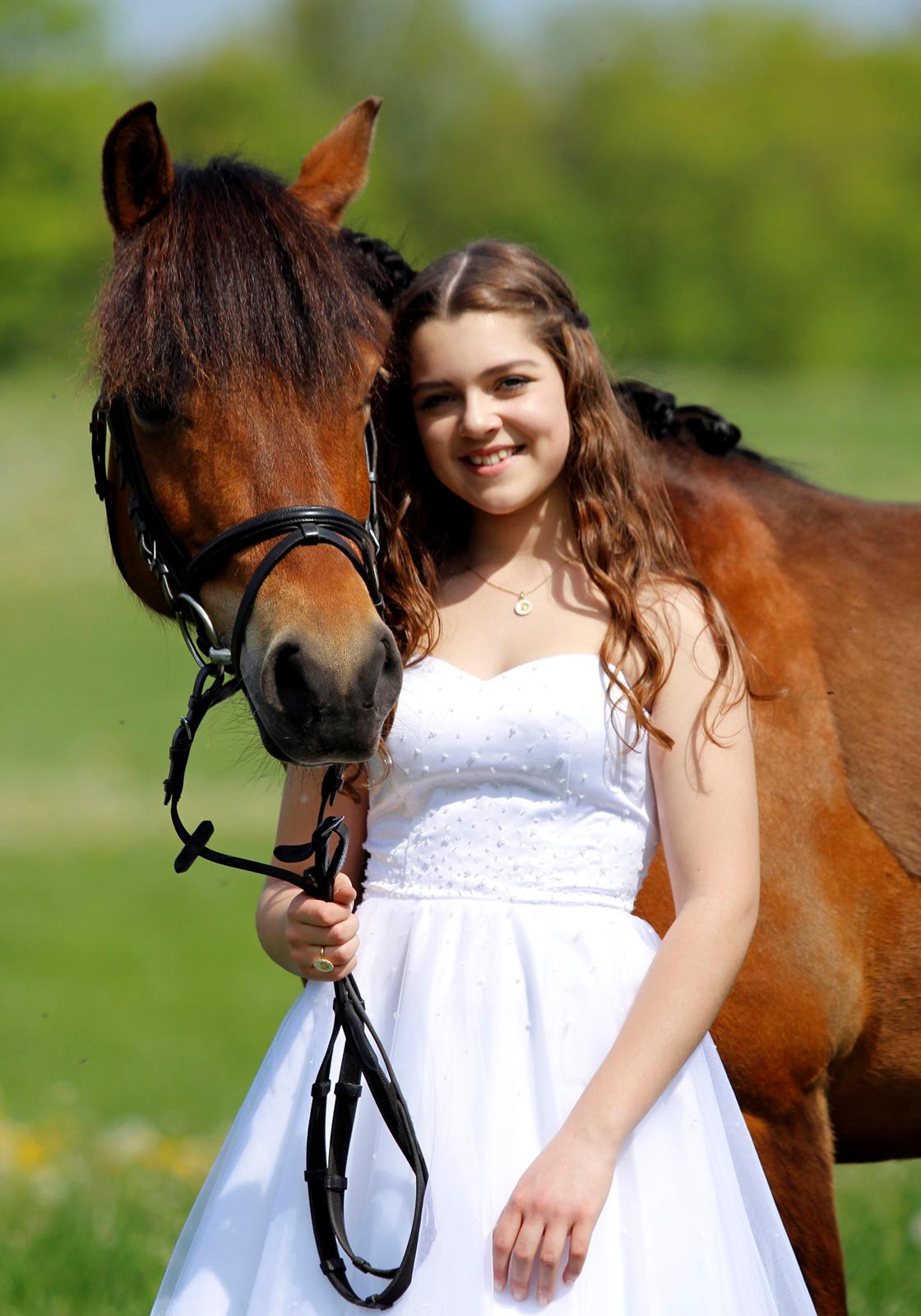 New Forest | Glenwood Marilyn - Elsker den pony mere end noget andet! <3 billede 12