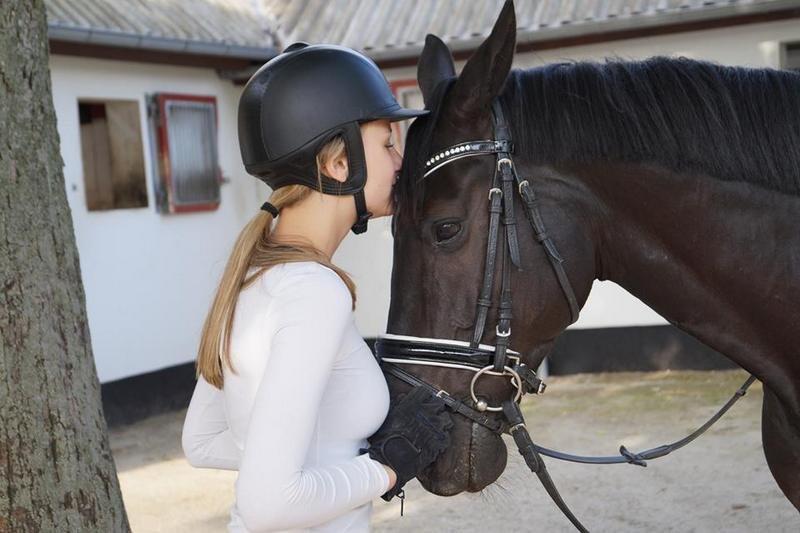 Dansk Varmblod Tekno - Da der kun var én måned tilbage... Kommer til at savne ham <3 billede 7