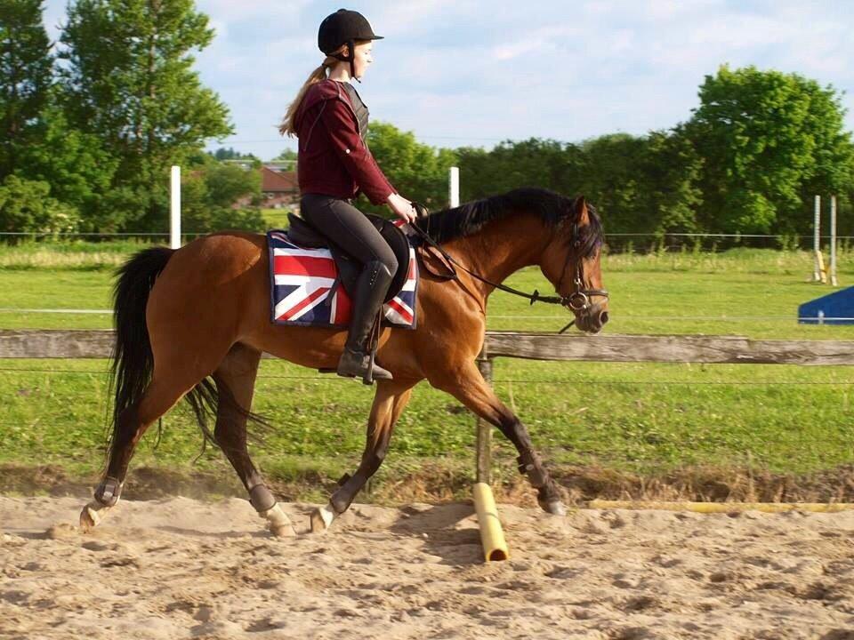 DSP Tovdals Indian Sunrise (Musse pigen<3) billede 12