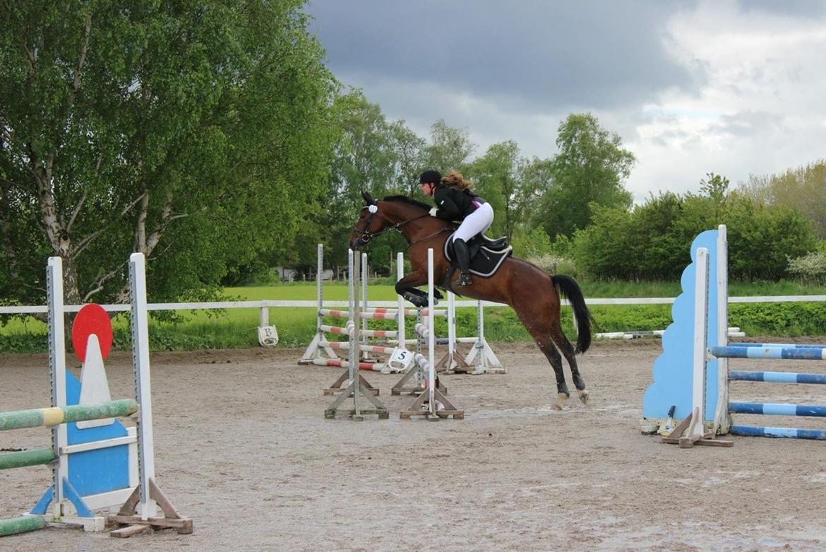 Anden særlig race Lady <3 [MIN SKØNHED] billede 31