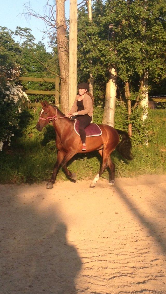 Anden særlig race Lady <3 [MIN SKØNHED] billede 33
