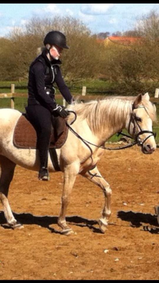 DSP Attention - Inden jeg fik hende hjem billede 17