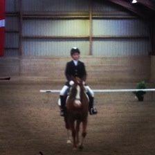 Anden særlig race Hedegaardens Shakira - Vores første stævne sammen <3 billede 6