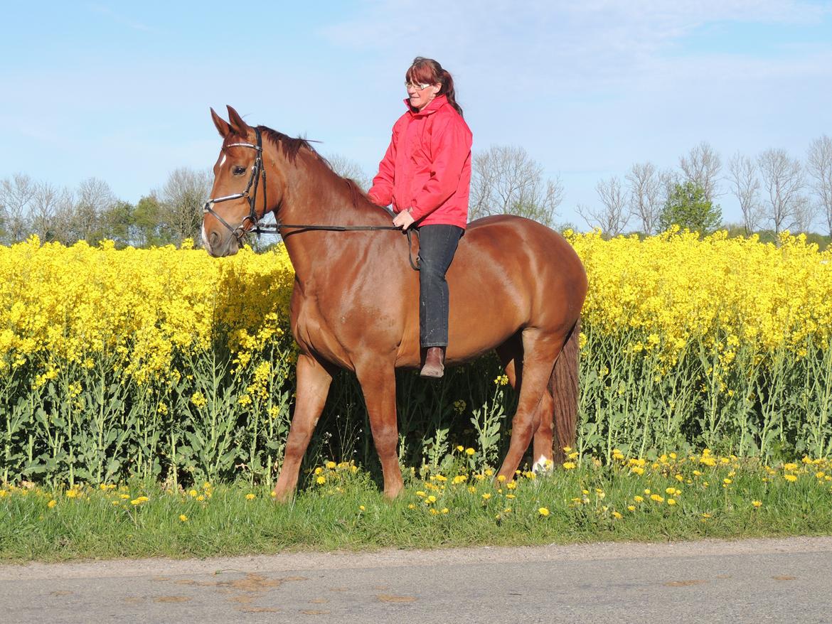 Oldenborg Omega Alstrup billede 2