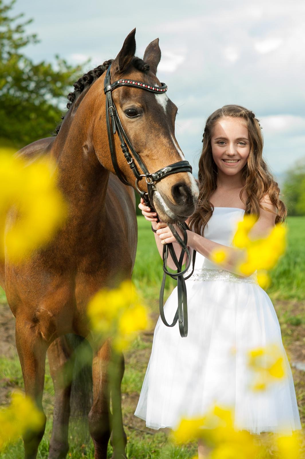 New Forest Orchid's Sheila B-pony billede 1