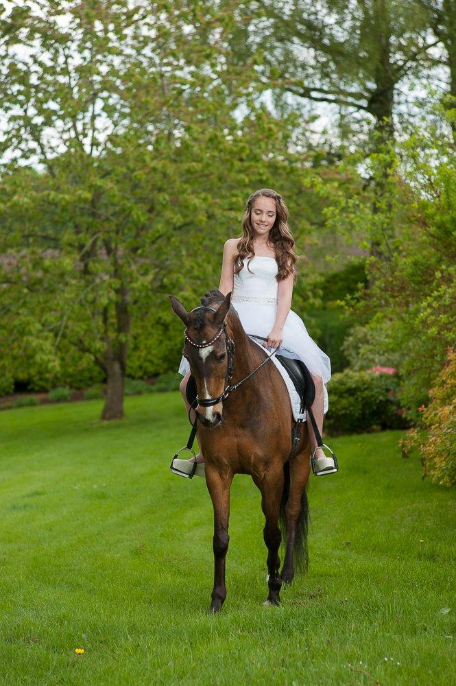 New Forest Orchid's Sheila B-pony billede 3