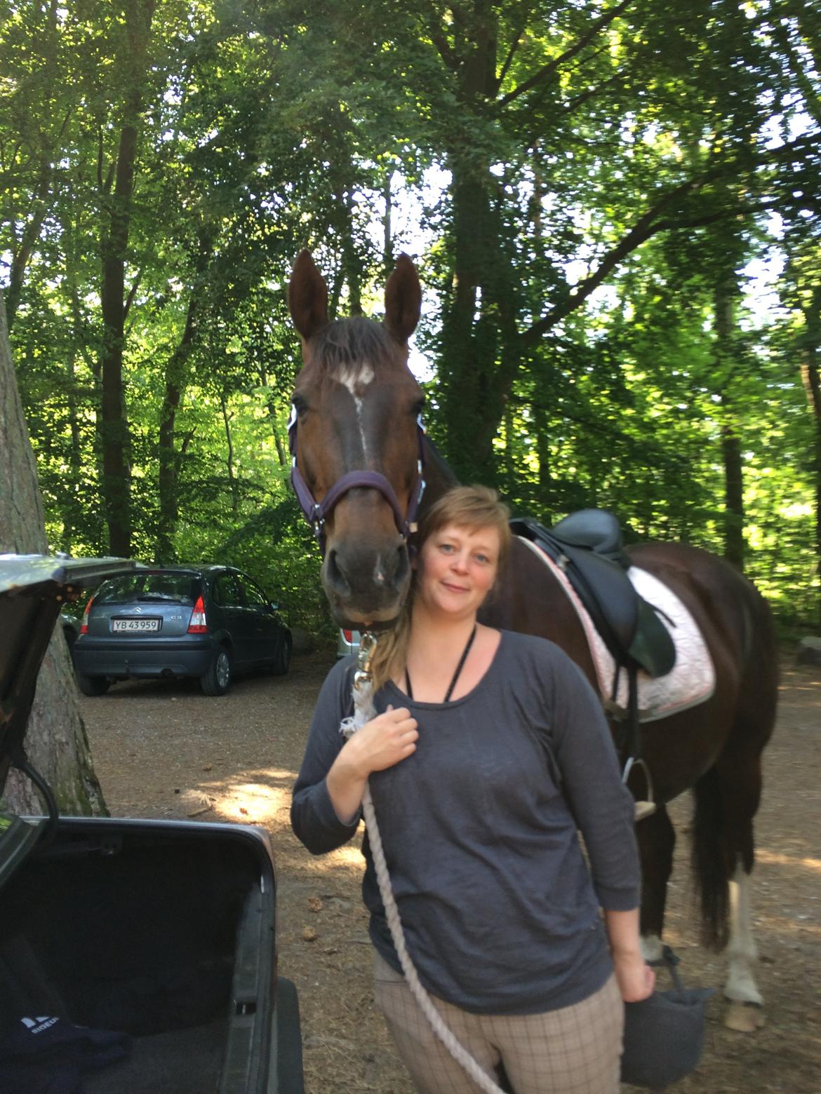 Oldenborg Etasja af Hvarre billede 25