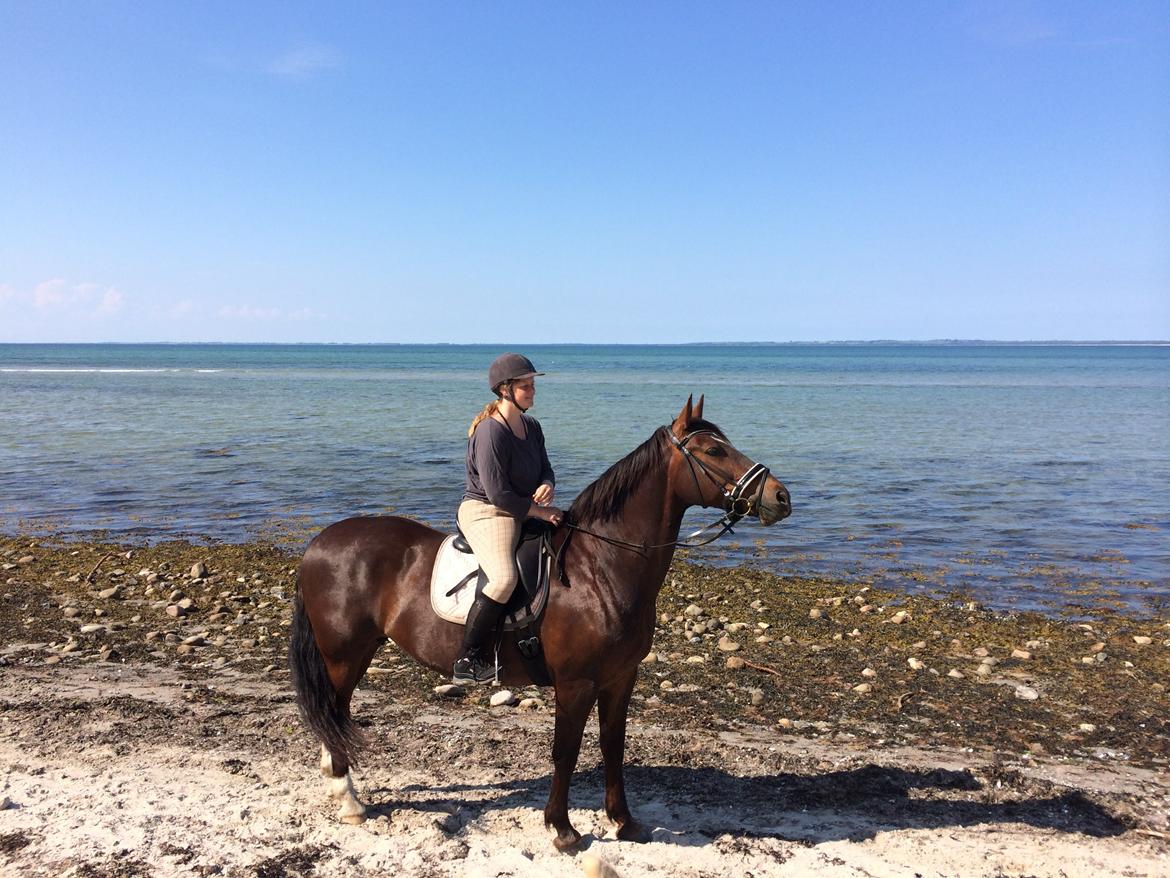 Oldenborg Etasja af Hvarre billede 27